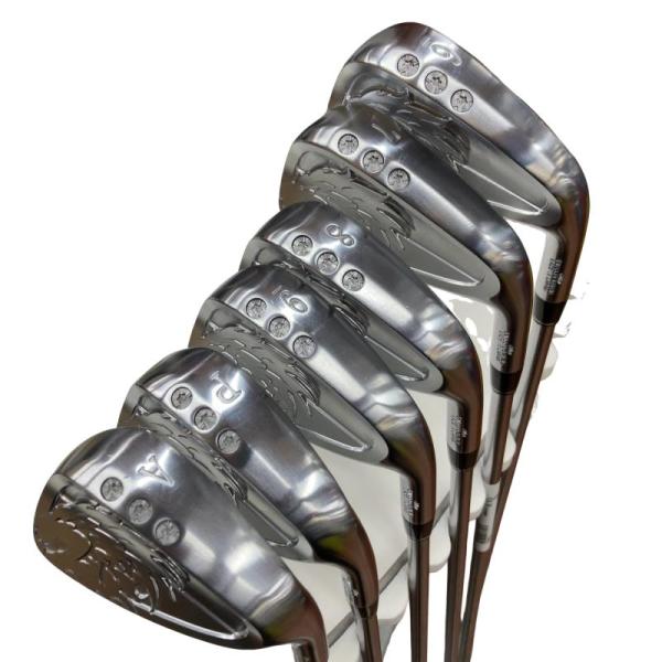 エミリッドバハマ EMILLID BAHAMA Carlvinson CV10 6S アイアンセット...