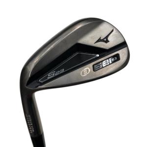 DUNLOP セベ・バレステロス限定 #1〜9.PW TRUE TEMPER DG X100・10本