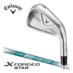 Callaway（キャロウェイ） PARADYM Ai SMOKE MAX FAST アイアン N.S.