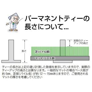 ライト パーマネントティー (30mm) T-630の詳細画像1