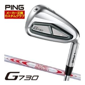 PING ピン G730　5S SPEEDER NX 45（IR） 美品 PING ピン G730 5S SPEEDER NX 45（IR） 美品 PING ピン G730 5S