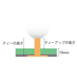 タバタ パーマネントティー M GV0292の詳細画像3