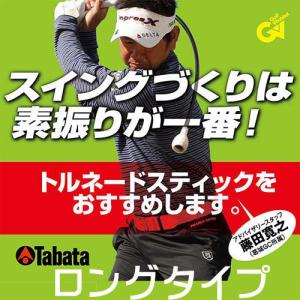 タバタ トルネードスティック ロング スイング練習機