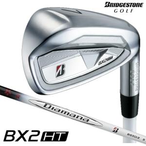 BRIDGESTONE GOLF ブリヂストン BSG 233HF ゴルフ アイアンセット N.S.