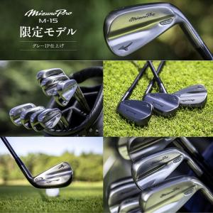 ミズノ Mizuno Pro M-15 グレイ...の詳細画像4