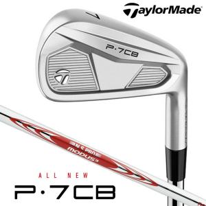 TaylorMade（テーラーメイド） Qi MAX アイアン 6本セット (#6〜PW, AW