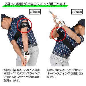 スイングトレーナー ゴルフ ゴム 矯正ベルト ...の詳細画像2