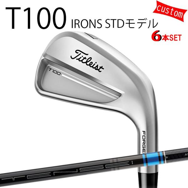 カスタム タイトリスト TITLEIST T100アイアンセット STDモデル シャフト TENSE...