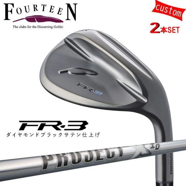 2本組 ゴルフクラブ フォーティーン ウェッジ 26モデル FR-3 ウェッジ ダイヤモンドブラック...