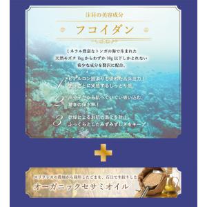 多機能保湿液 elmar Superia 60...の詳細画像3