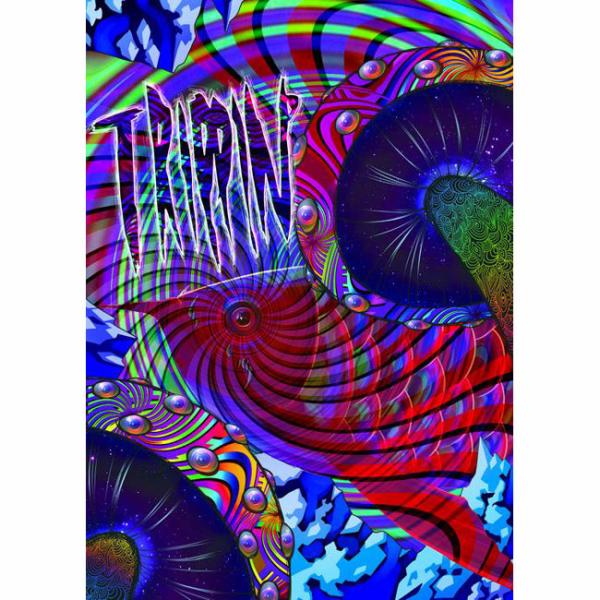 13-14 DVD snow Dirty Pimp TRIPPIN (htbs0152) ベアーマウ...