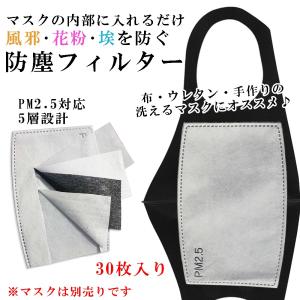 即日発送 マスク用 フィルター 30枚入 取替 5層 シート 防塵 飛沫 花粉 埃 風邪 ウイルス PM2.5 不織布 大人用 男女兼用