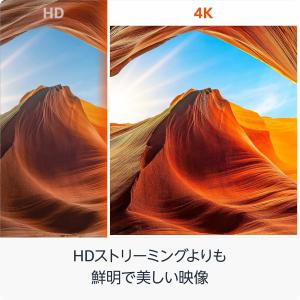 ファイヤースティック Fire TV Stic...の詳細画像2