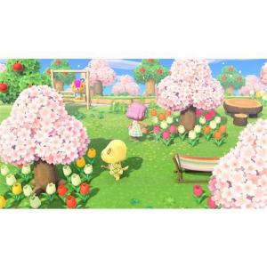 あつまれどうぶつの森 スイッチ2ソフト Nin...の詳細画像2