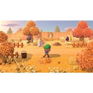 あつまれどうぶつの森 スイッチ2ソフト Nin...の詳細画像4