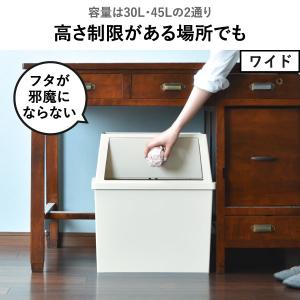 ゴミ箱 45リットル おしゃれ 分別 2段 ス...の詳細画像5