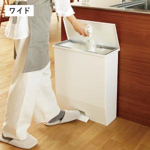 ゴミ箱 45リットル おしゃれ 分別 スリム ...の詳細画像3
