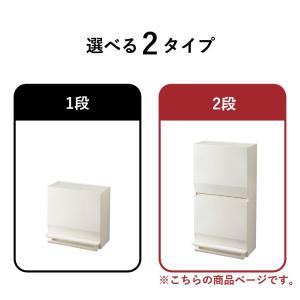 ゴミ箱 45リットル おしゃれ 蓋付きゴミ箱 ...の詳細画像2