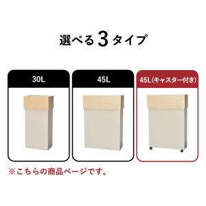 ゴミ箱 おしゃれ 分別 スリム ダストボックス...の詳細画像2