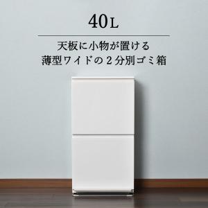 クロシオ ダイニングダストボックス4D ブラウン 完成品 キャスター付