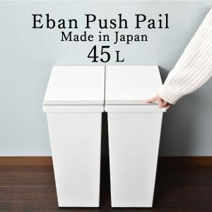 ゴミ箱 おしゃれ 45リットル対応 キッチン用 ...の商品画像