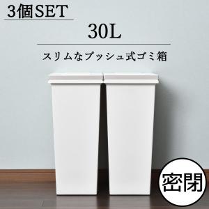 ゴミ箱 おしゃれ ダストボックス 密閉 防臭 臭わない 日本製 ふた付き プッシュ式 スリム シンプル 白 アスベル エバンMP密閉プッシュペール 30L 3個セット