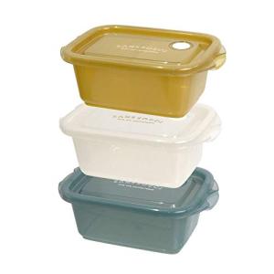 Sabu チルタイム 抗菌フードコンテナ 300 グリーン 900mL 316715