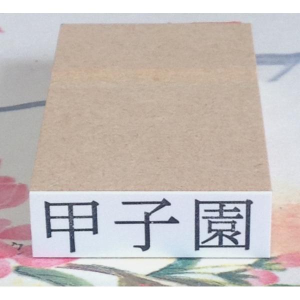 ゴム印・横３０ミリまで、文字の高さ9.5ミリフリーサイズ１行印