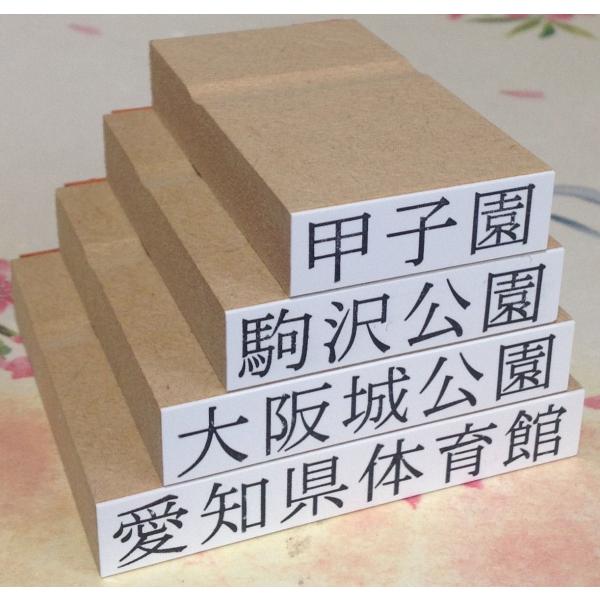 ゴム印・横８０ミリまで、文字の高さ9.5ミリフリーサイズ１行印