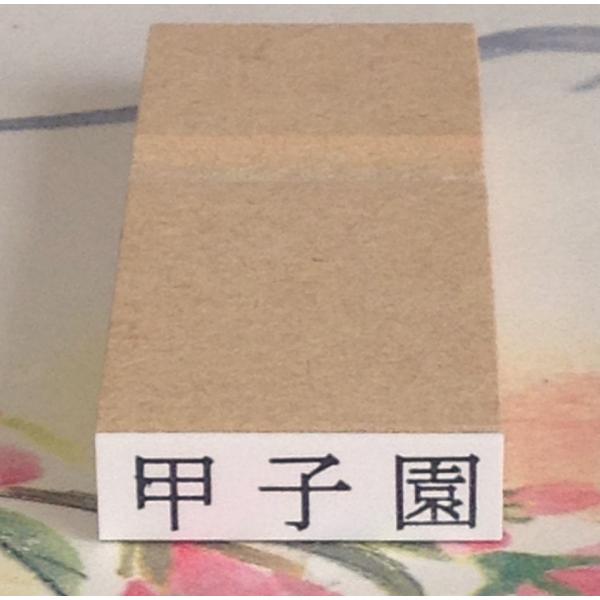 ゴム印・横２０ミリまで、文字の高さ5.5ミリ（15.5ポイント相当）フリーサイズ１行印