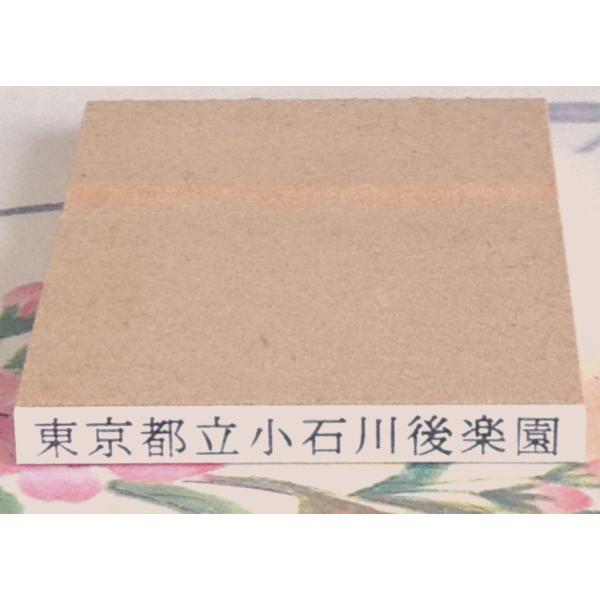 ゴム印・横４０ミリまで、文字の高さ3.75ミリ（10.5ポイント相当）フリーサイズ１行印