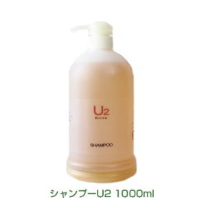 ディバイン ダメージ毛用 シャンプー U２（ユーツー）　1000ml　