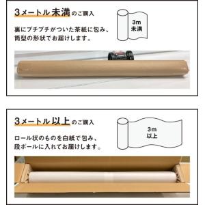 RE35AMAR アンバー35RE 1524m...の詳細画像3