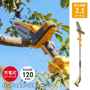 値下げ 高枝チェーンソー 1.6〜2.2ｍ 2段式 無段階伸縮 18V 充電式 コードレス 高枝切り チェーンソー 電動 ノコギリ