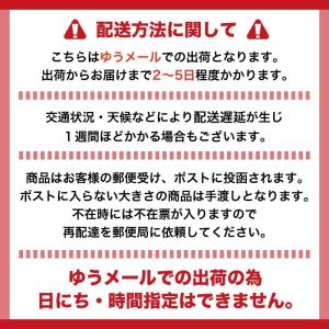 iPhone XR XS X ケース スマホ ...の詳細画像5