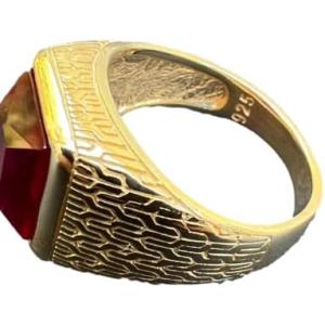 【並行輸入品】ICEBROS Simulated Ruby Red Gemstone Men's V...