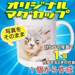 オリジナルマグカップ【1個】写真をそのままプリン...の商品画像