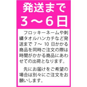 お名前シール_5 えんぴつ・ペン用の詳細画像3