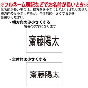 ゼッケン【一般用】1段 20×15cmの詳細画像5