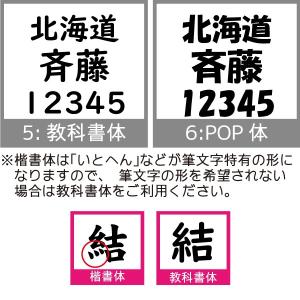 ゼッケン【一般用】2段 15×10cmの詳細画像3