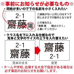 ゼッケン【一般用】2段 15×10cmの詳細画像5
