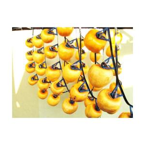 玉ねぎつるし 柿アーチ 5本入の詳細画像5