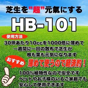 フローラ HB-101 天然植物活力液 20L...の詳細画像4