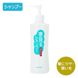 箱なし) アシュラン ヘアシャンプー 280ml : プライスラボ ヤフー店