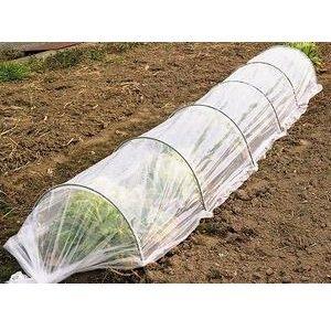 2000枚】星野 ポリトーメー傘 270角 ぶどう 果樹 保護 鳥よけ : 農家の