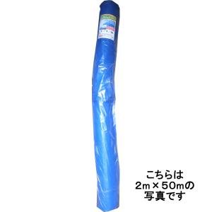 シンセイ　防風ネット　４mm目合　２m×３０m　【送料無料】｜good-goods-bizz