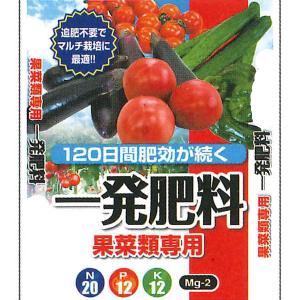 セントラルグリーン　一発肥料　果菜類専用　10kg　トマト　ナス　キュウリ　ピーマン｜good-goods-bizz