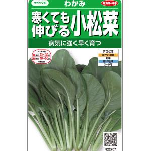 サカタのタネ　101531　実咲野菜　寒くても伸びる小松菜　わかみ　小袋　目安1,800粒｜good-goods-bizz