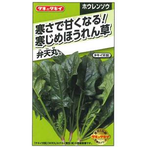 タキイ種苗　ASP06N　寒さで甘くなる！寒じめほうれん草　弁天丸　約1,100粒｜good-goods-bizz