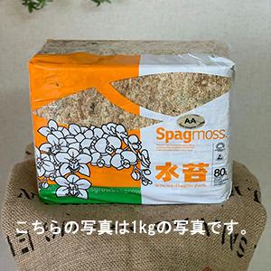 共和開発　ニュージーランド産　水苔　500g（復元目安　約40L）